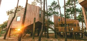 Bukubaki Treehouses - NML Turismo