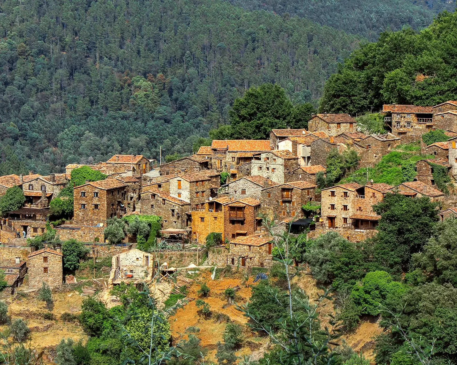 Sistema de Incentivos de Base Territorial Pinhal Interior - Portugal 2030 - NML Turismo - Consultoria