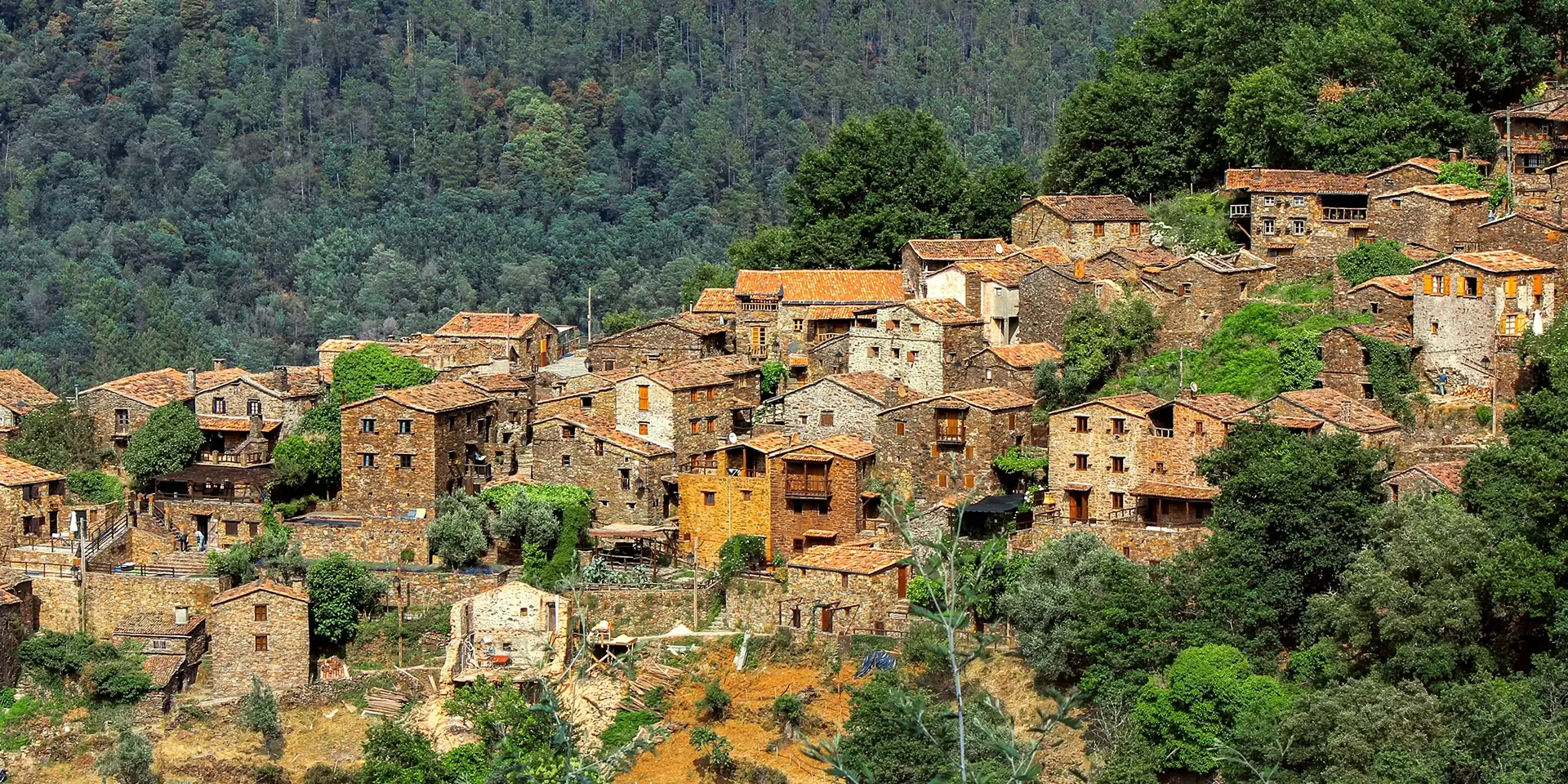 Sistema de Incentivos de Base Territorial Pinhal Interior - Portugal 2030 - NML Turismo - Consultoria